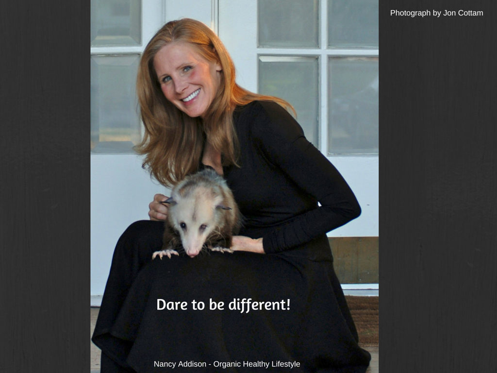 Nancy Addison is a wildlife rehabilitator and rescues a mommy opossum at SMU