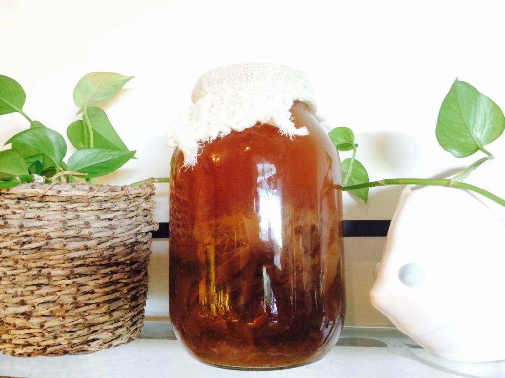Kombucha recipe and it's health benefits for the immune system.