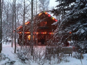 Music Suggestions - nancy addison, organic healthy life