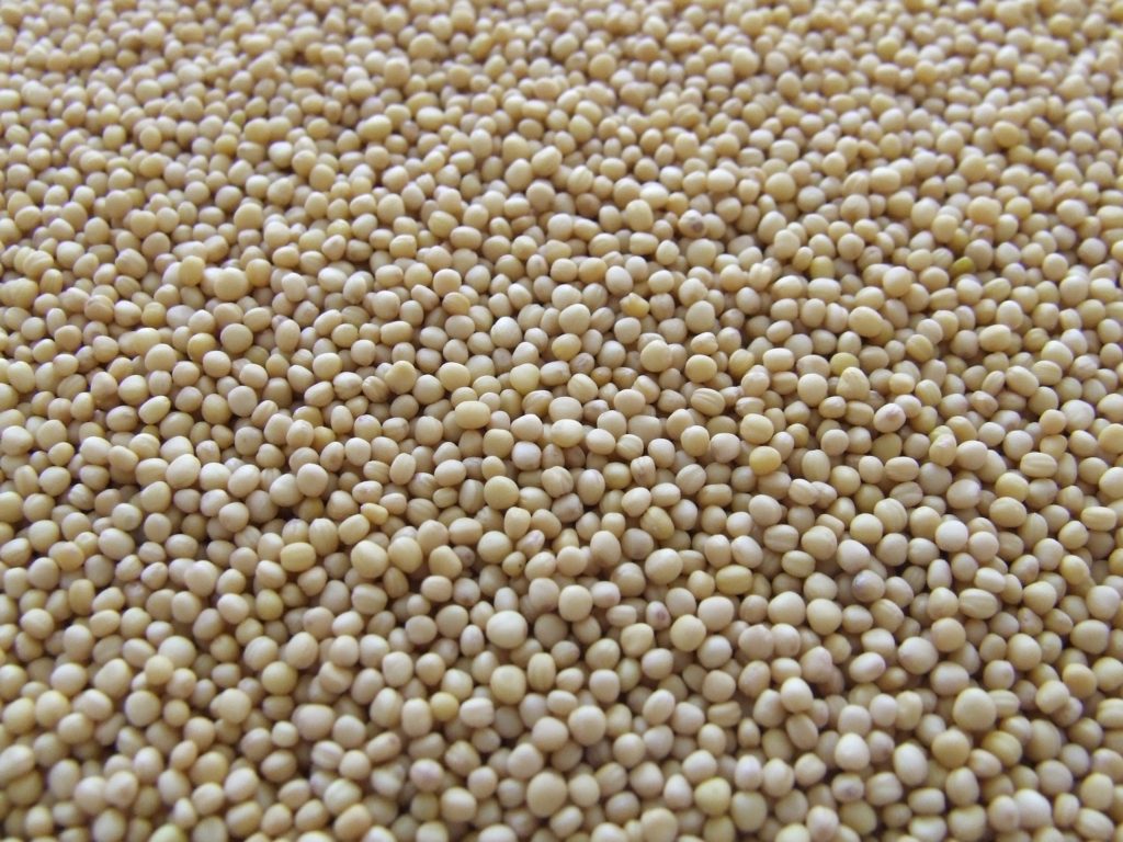 Nancy Addison, nutritioinist, discusses soy and the various compoents of how it is either healthy or harmful. She goes into detail in this article and she lists sources of information.