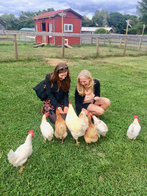 Nancy Addison discusses the chicken industry, eggs, our heath and the treatment of birds. Park one of a series on the Woodstock Farm Sanctuary