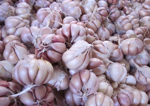 garlic soup recipe for optimum health, by nancy addison, nutritionist