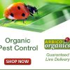 Organic, Non-Toxic Products For Gardening, Yard, Home, And Pets By Arbico Organics