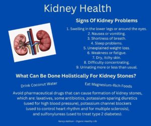 Holistic Remedies For Kidney Stones And Struvite Crystals, by Nancy Addison, organic Healthy Life