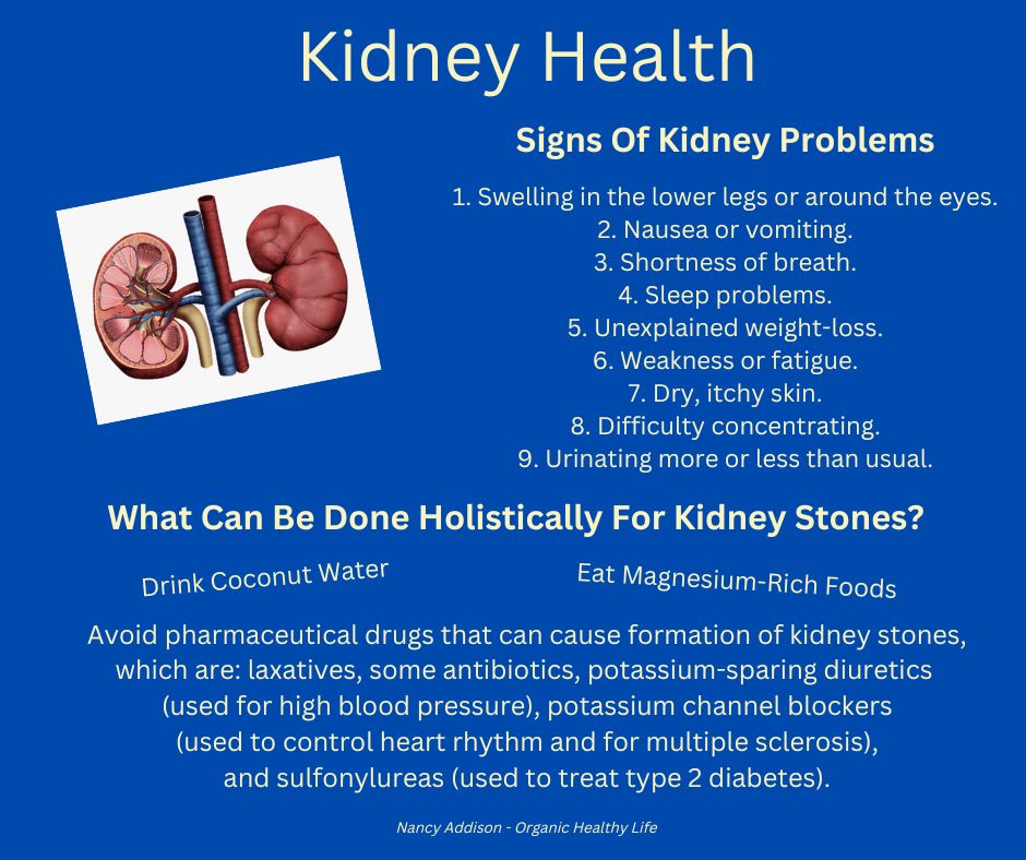 Kidney Health, Kidney Stones, Causes & Holistic Remedies by Nancy Addison, organic Healthy Life