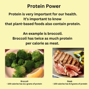 Protein, by Nancy Addison, Organic Healthy Life