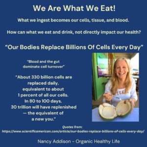 Diabetes And Your Diet, Diet Can be Powerful For Diabetics, Nancy Addison, Organic healthy Life