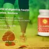 A Parasite Cleanse Detox, Dr Ardis, nancy addison, organic healthy life
