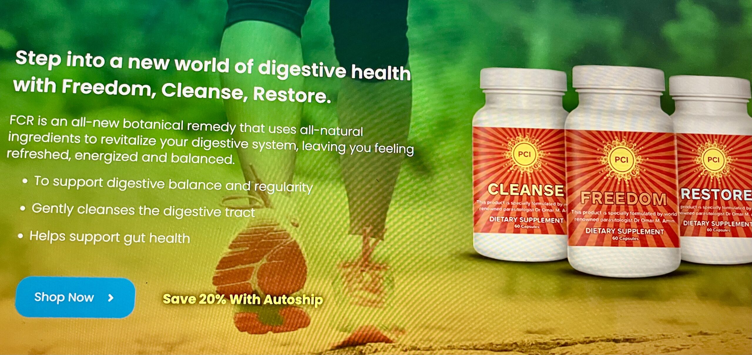 A Parasite Cleanse Detox, Dr Ardis, nancy addison, organic healthy life A Parasite Cleanse Detox, Dr Ardis, nancy addison, organic healthy life